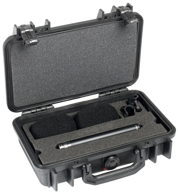 DPA 4011A Pair Compact Case