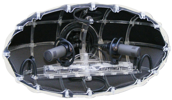 SENNHEISER ORTF MKHC 8040 + ALBERT Windscreen