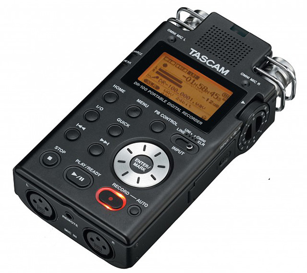 TASCAM DR-100 Stereo Built-In Microphones