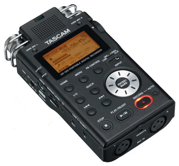 TASCAM DR-100 Stereo Built-In Microphones